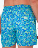 PANTALONETA LEBLU MARINI STAR