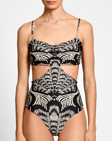 ENTERO FLAVIA MIDNIGHT SHELLS ENCANTADORE