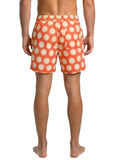 PANTALONETA SHIMMERING HORIZON SAILOR MAAJI